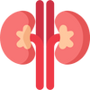 Urinary Health