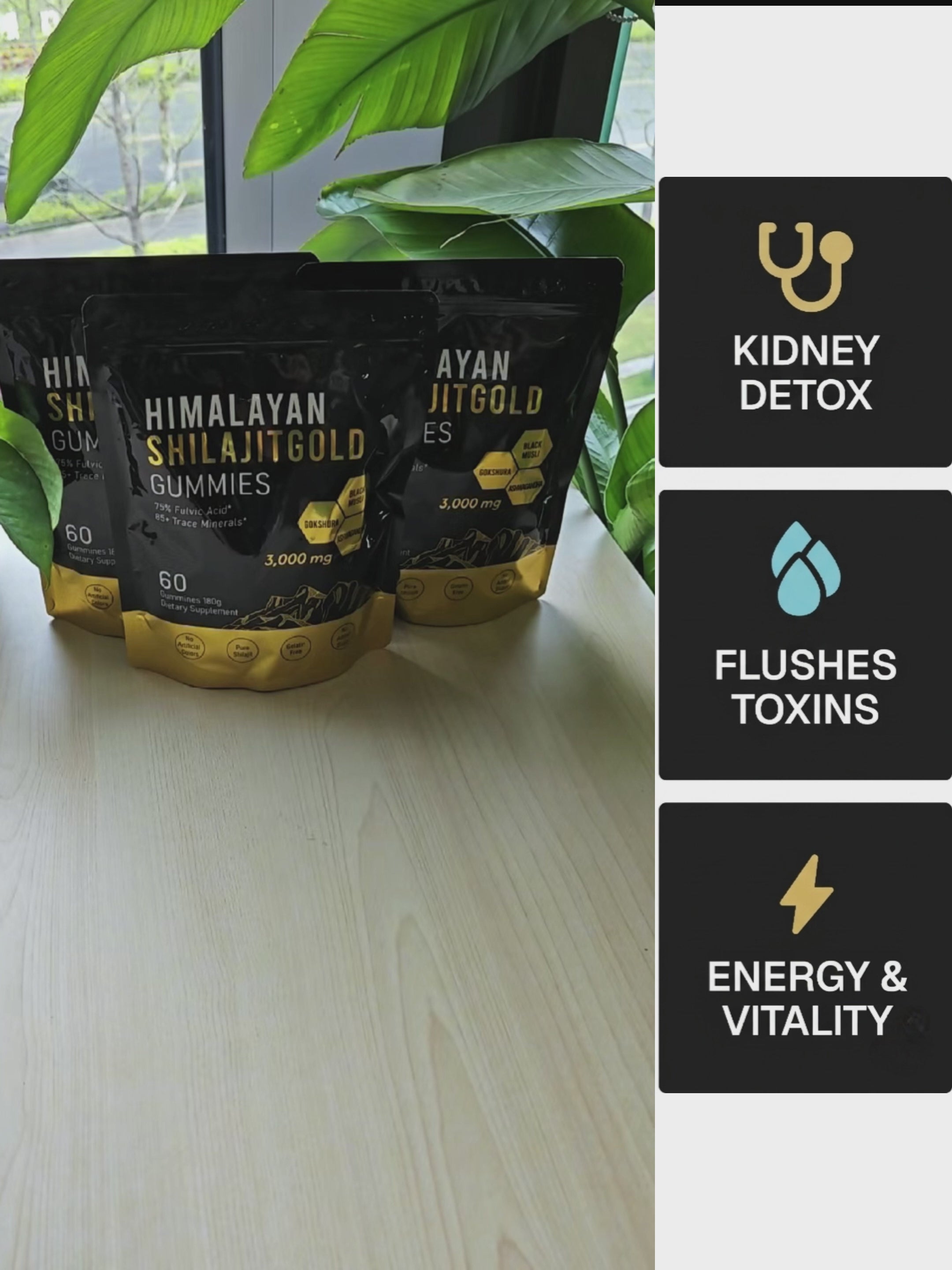 Kidney Support & Detox Shilajit Gummies - Pure Himalayan Minerals